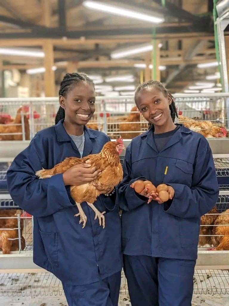 Agriculture Solutions